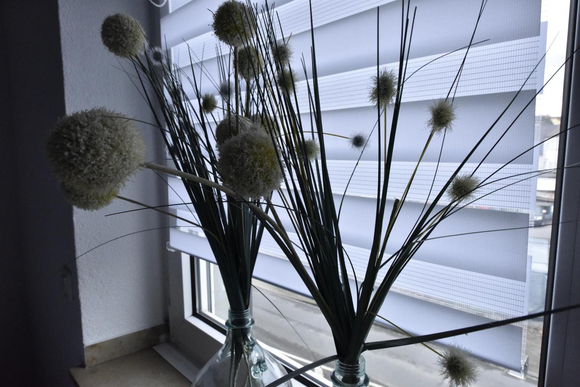 Apartment Bruehlerstrasse *